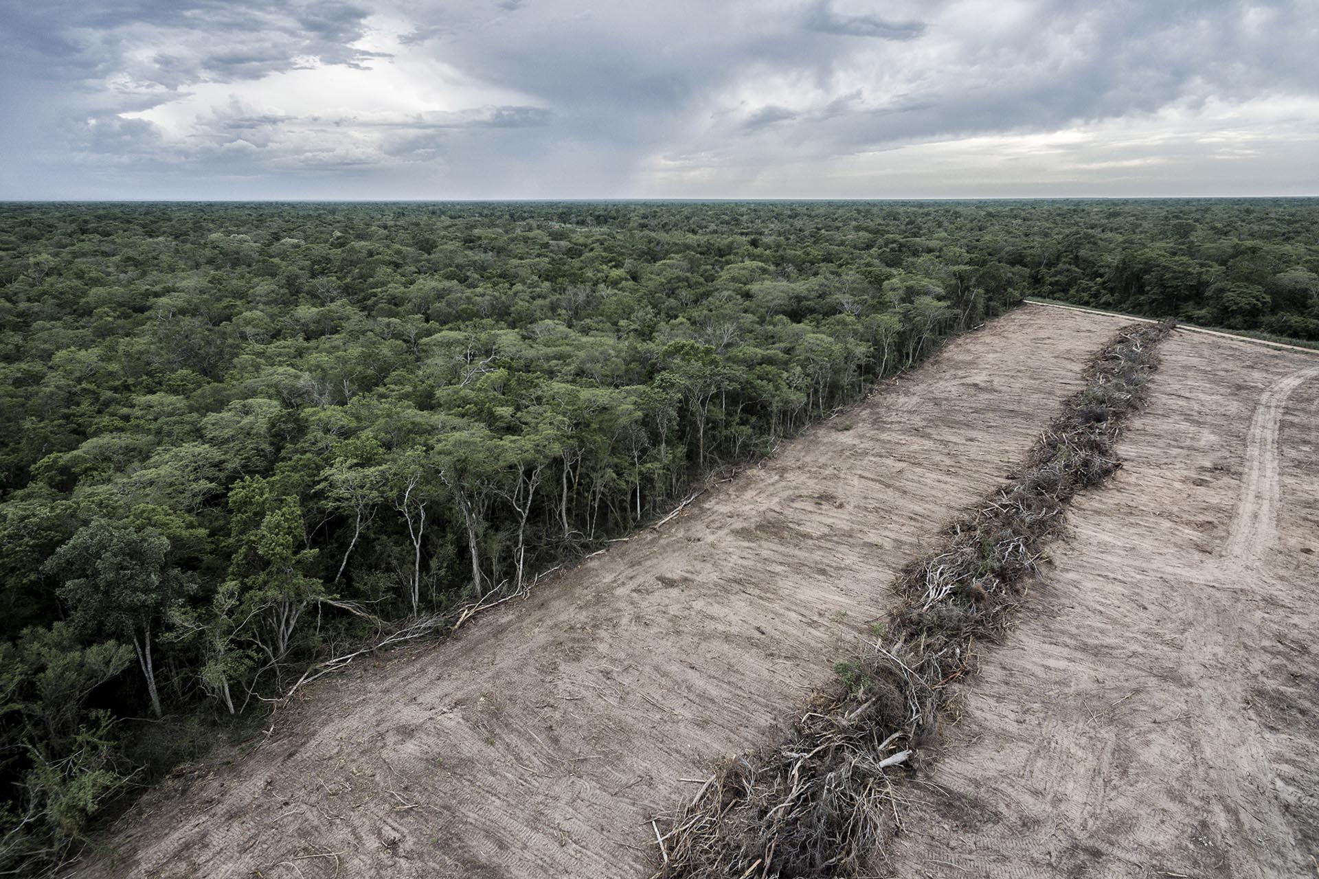 Deforestation - Climate Rights International