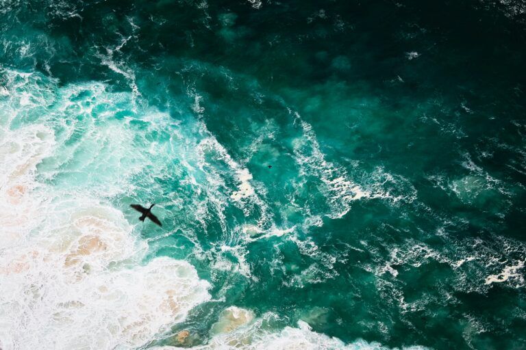 dimitry-b-CD6IcMA7uaQ-unsplash