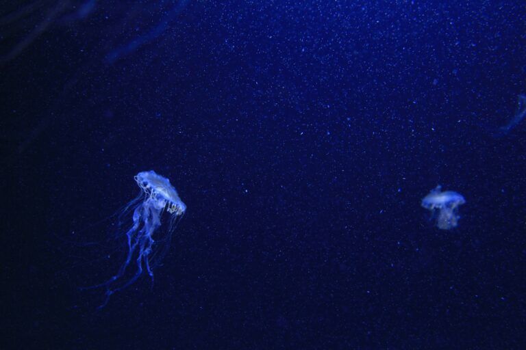 mikita-GdkuJ6tyciU-unsplash
