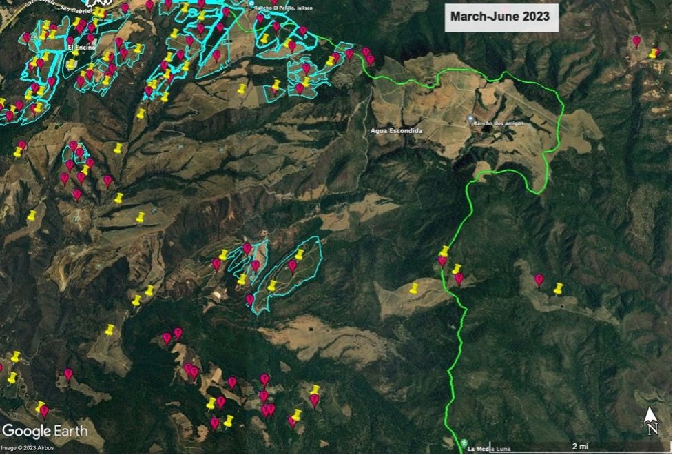 Free Fire: códigos de canje del 27 de enero de 2023 para conseguir