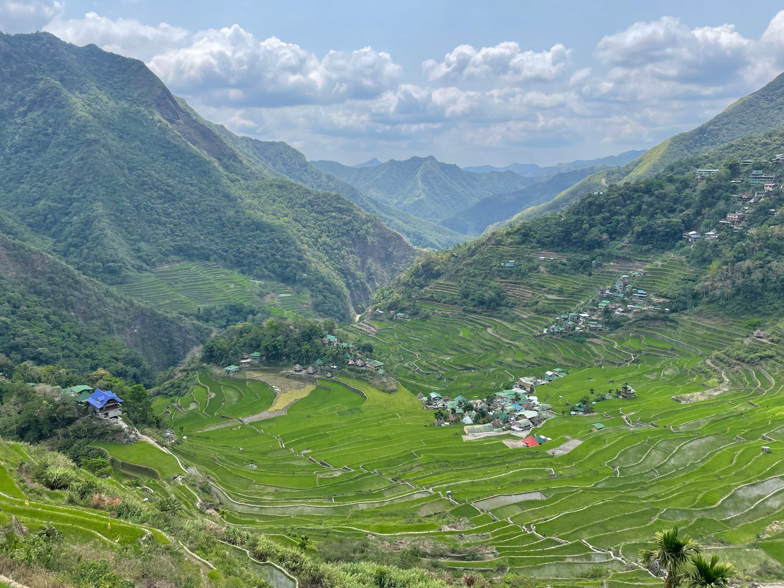 omri-d-cohen-pozDysoeJ9Y-unsplash