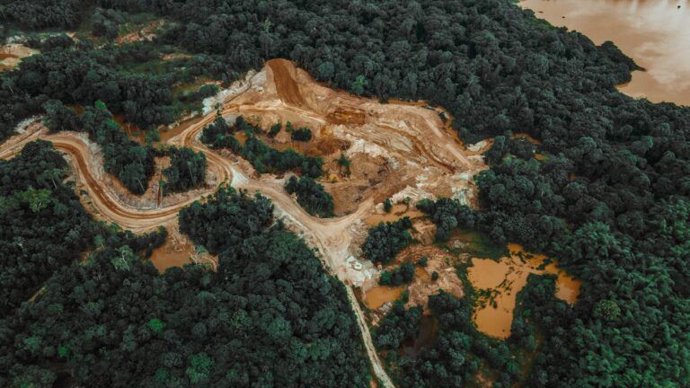 Deforestation 1