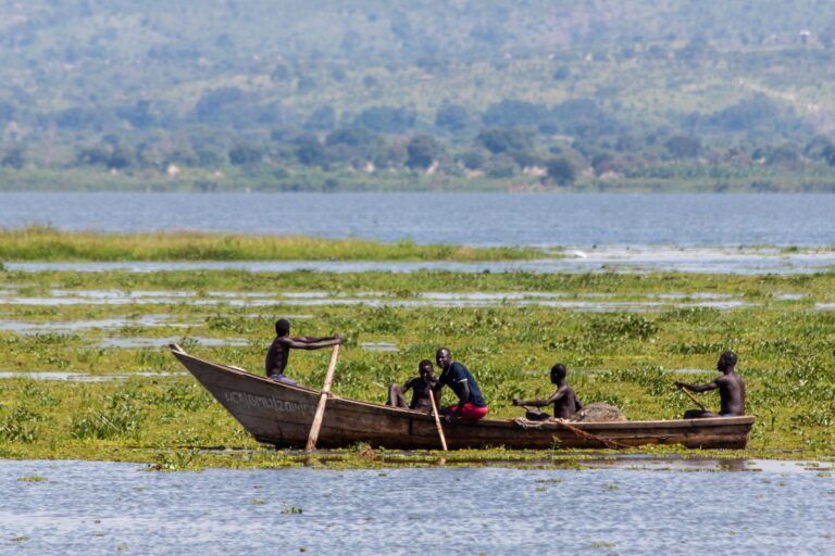 20917719076_df0d516dbd_k