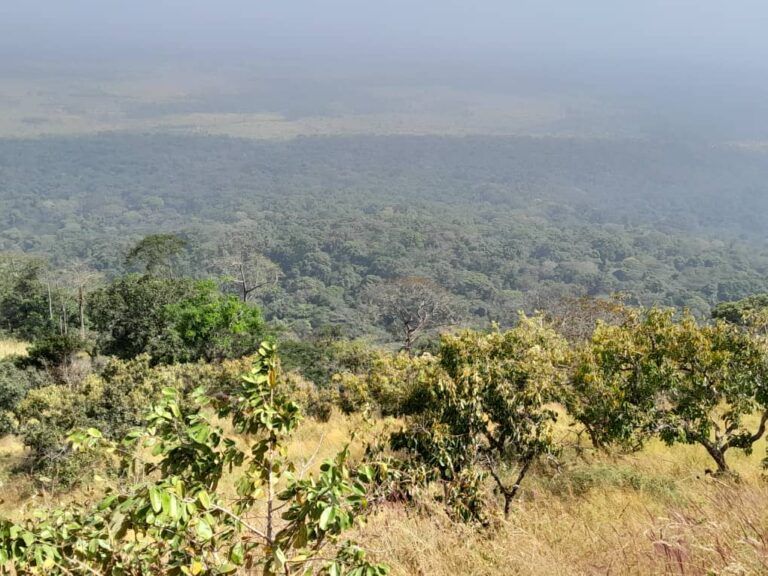 Guinea: Independent Study Underlines Risks of Iron Mining Project ...